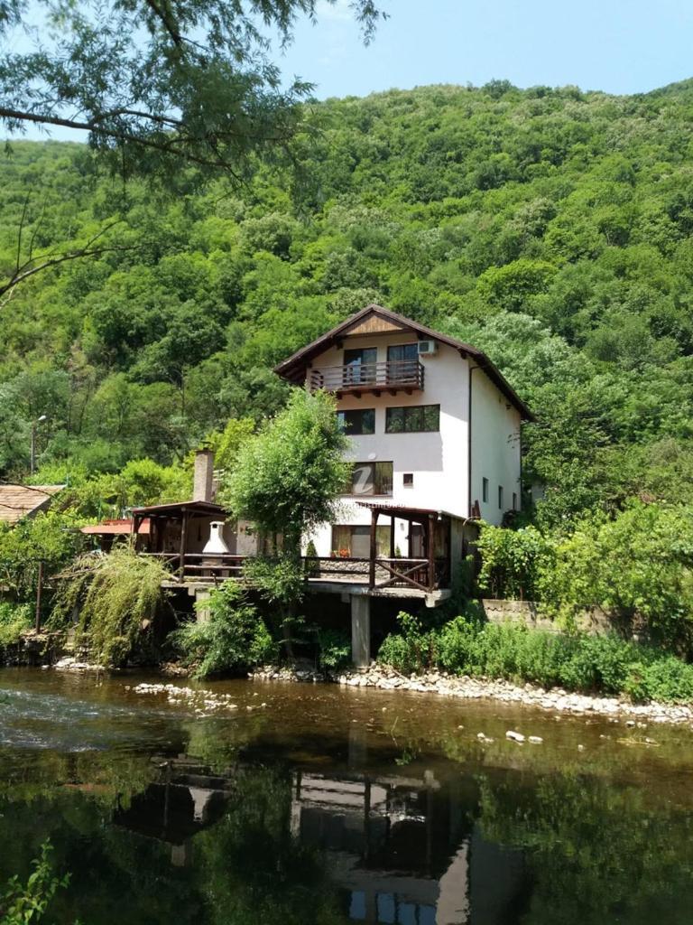 Casa Vivian Hotel Baile Herculane Exterior photo